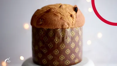 Panettone Clásico con Masa Madre