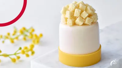 Mimosa Cake Creative