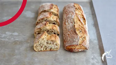 Sprouted Wheat Ciabatta