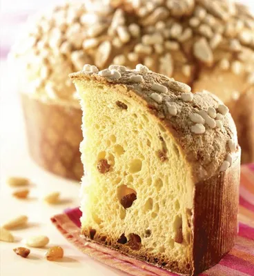 Molde Panettone