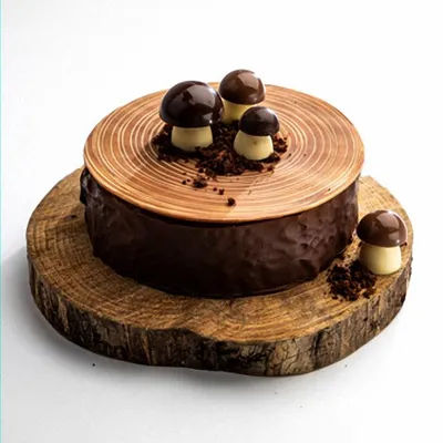 Crocante Chocolate Pine Tree