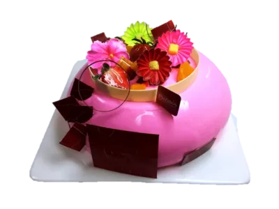 Velvet Gourmet